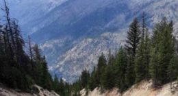 Resolution is preparing for a major drilling program at the Golden Gate project.